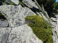 Italien, Elba, Wanderung Monte Capanne