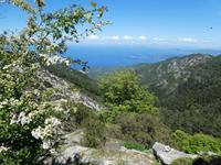 Italien, Elba, Wanderung Monte Capanne