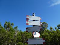 Italien, Elba, Wanderung Monte Capanne, Abstieg