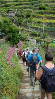 Cinque Terre - Impressionen