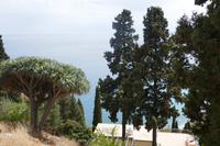 Blick vom öffentlichen Park in Taormina aufs Meer