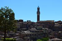 Siena - Blick auf Altstadt und Rathausturm