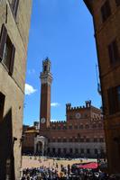 Siena - Piazza del Campo und Rathaus