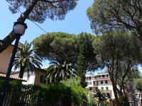 Tolle Vegetation auf Elba.