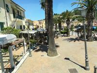 Bars in einem Palmengarten.