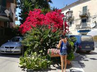 Ein Ensemble von Schönem. 