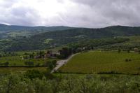 Panoramafahrt durch das Chianti-Gebiet