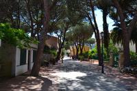 Ausflug nach Elba - Marina di Campo