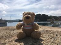 Ausflug nach Elba - Eberhardt-Reisebär mit neuem Abzeichen im Hafen von Porto Azzurro