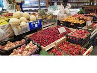 Vieste in Apulien (Italien) (8)