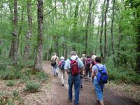 Wanderung im Gargagano-Nationalpark und der Hochwald Foresta Umbra (2)