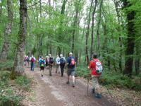 Wanderung im Gargagano-Nationalpark und der Hochwald Foresta Umbra (4)