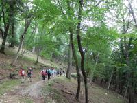 Wanderung im Gargagano-Nationalpark und der Hochwald Foresta Umbra (7)