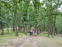Wanderung im Gargagano-Nationalpark und der Hochwald Foresta Umbra (9)