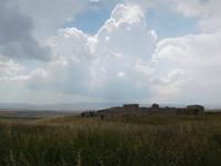 Ruinen von Castel Fiorentino, dem Sterbort von Friedrich II bei Lucena, in Apulien (Italien) (4)