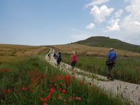 Ruinen von Castel Fiorentino, dem Sterbort von Friedrich II bei Lucena, in Apulien (Italien) (5)