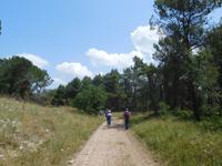 Wanderung zum Castel del Monte, in Apulien (Italien) (1)