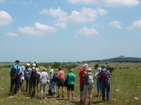 Wanderung zum Castel del Monte, in Apulien (Italien) (3)