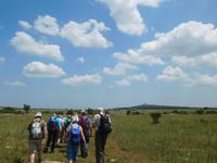 Wanderung zum Castel del Monte, in Apulien (Italien) (4)