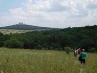 Wanderung zum Castel del Monte, in Apulien (Italien) (8)