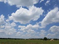 Wanderung zum Castel del Monte, in Apulien (Italien) (11)
