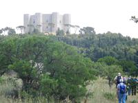 Wanderung zum Castel del Monte, in Apulien (Italien) (12)