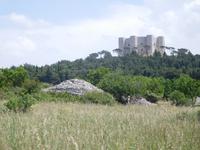 Wanderung zum Castel del Monte, in Apulien (Italien) (14)