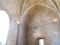 Wanderung zum Castel del Monte, in Apulien (Italien) (28)