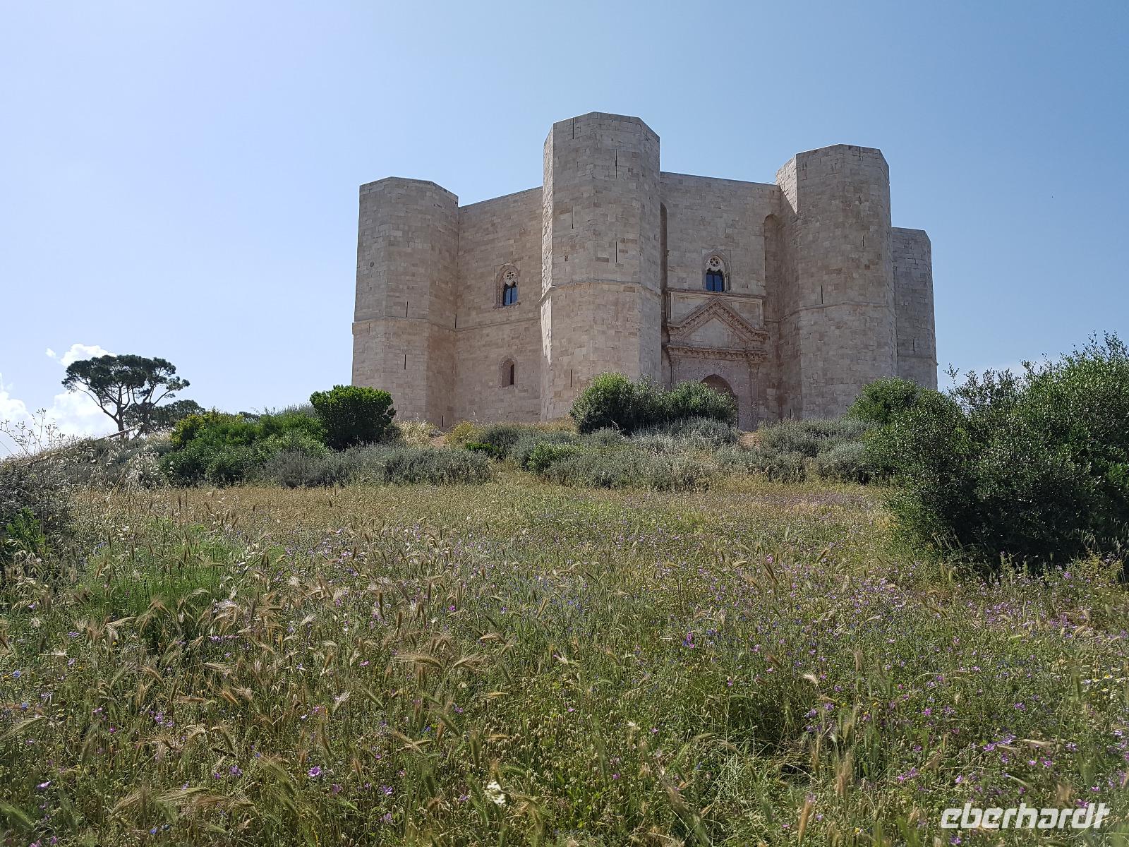 Wanderung zum Castel del Monte, in Apulien (Italien) (36)