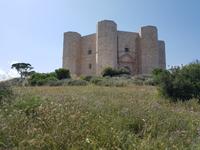 Wanderung zum Castel del Monte, in Apulien (Italien) (36)