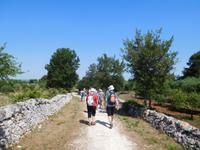 Wanderung im Valle D'Itria Tal durch Radweg Aquädukt Pugliese (1)