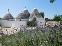 Wanderung im Valle D'Itria Tal durch Radweg Aquädukt Pugliese (3)