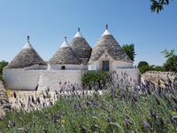 Wanderung im Valle D'Itria Tal durch Radweg Aquädukt Pugliese (11)