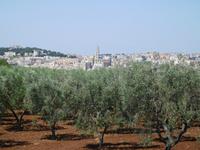 Wanderung in der Basilikata - Gravina Schlucht bei Matera (Apulien - Italien) (4)