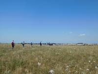 Wanderung in der Basilikata - Gravina Schlucht bei Matera (Apulien - Italien) (5)
