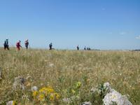 Wanderung in der Basilikata - Gravina Schlucht bei Matera (Apulien - Italien) (6)