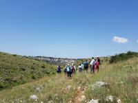 Wanderung in der Basilikata - Gravina Schlucht bei Matera (Apulien - Italien) (23)