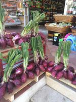 Die typischen roten Zwiebeln