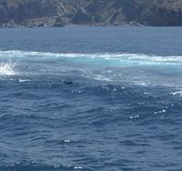 DELPHINE BEGLEITEN UNS BEI LIPARI