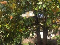 021 San Quirico d'Orgia