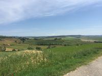 023 Wanderung San Quirico d'Orgia - Pienza