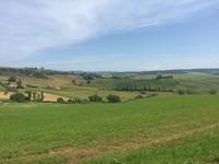 024 Wanderung San Quirico d'Orgia - Pienza