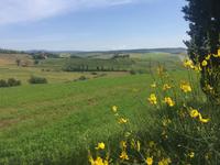 025 Wanderung San Quirico d'Orgia - Pienza