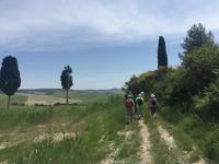 028 Wanderung San Quirico d'Orgia - Pienza
