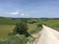 032 Wanderung San Quirico d'Orgia - Pienza