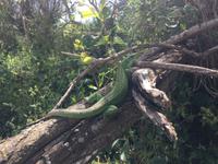 034 Wanderung San Quirico d'Orgia - Pienza