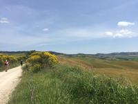 036 Wanderung San Quirico d'Orgia - Pienza