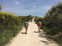 037 Wanderung San Quirico d'Orgia - Pienza