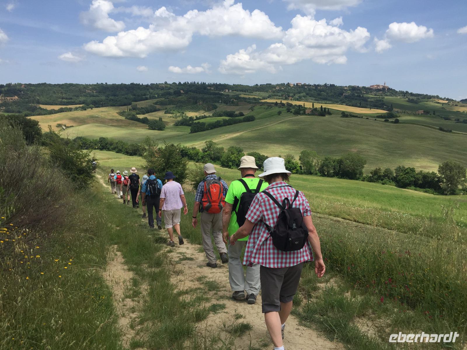 040 Wanderung San Quirico d'Orgia - Pienza