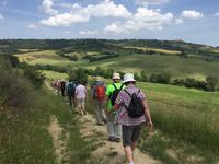 040 Wanderung San Quirico d'Orgia - Pienza